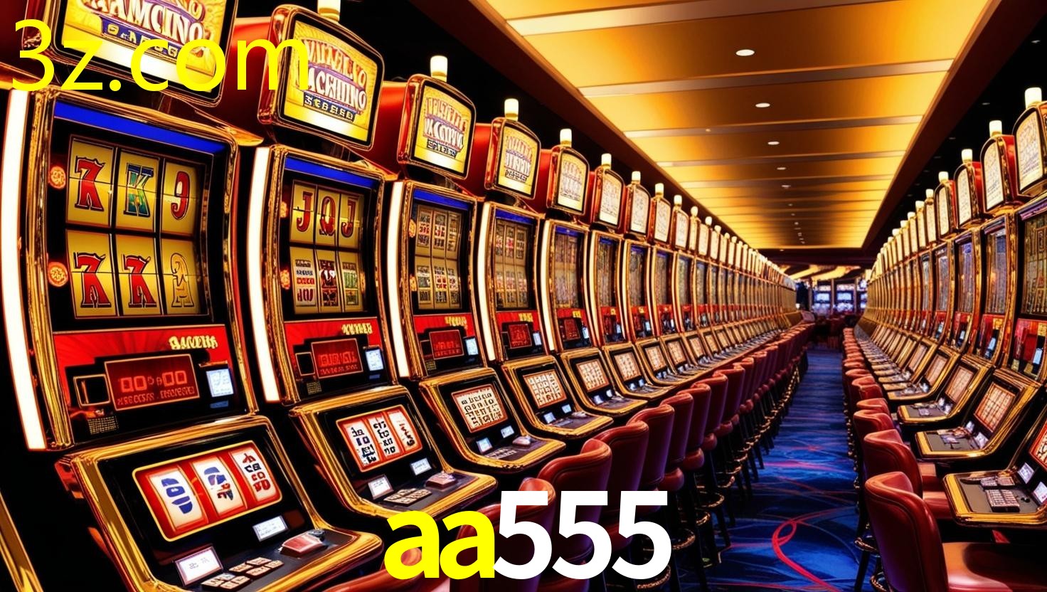 AA555.COM